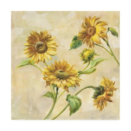 Danhui Nai 'Farm Nostalgia Sunflowers' Canvas Art,18x18